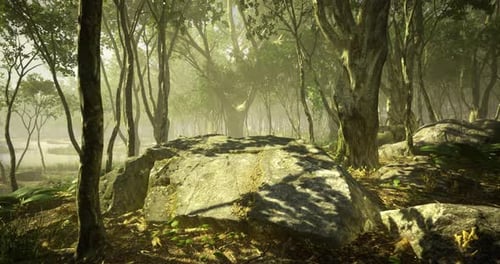 Serene Forest Landscape Bathed in Soft Morning Light and Lush Greenery