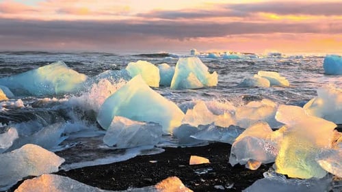 Icebergs Shining During Golden Hour Sunrise on Diamond Beach in Iceland Pure Ice Crashed By Ocean