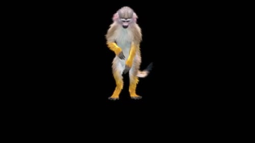 57 Monkey Dance HD