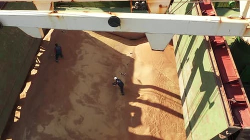 Workers Moving Grain Inside Cargo Ship's Hull