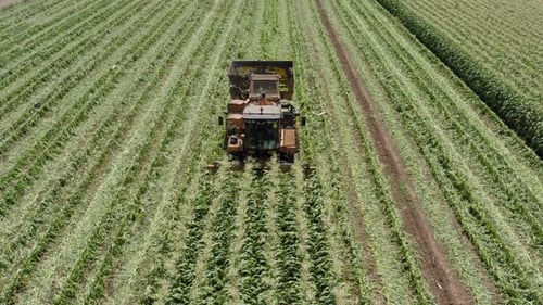 Tractor Harvesting Crop in Field Aerial View