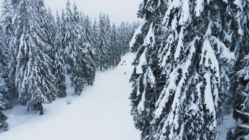Skiers Descend a Snowy Mountain Slope