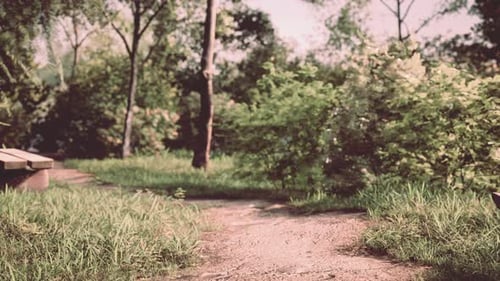 Beautiful Bench in the Park at Spring Sunny Day