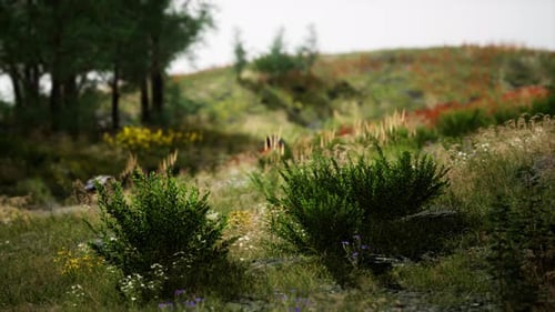 Idyllic Landscape in the Alps with Fresh Green Meadows and Blooming Flowers