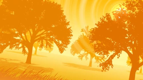 Animated Golden Sunset Through Forest Trees