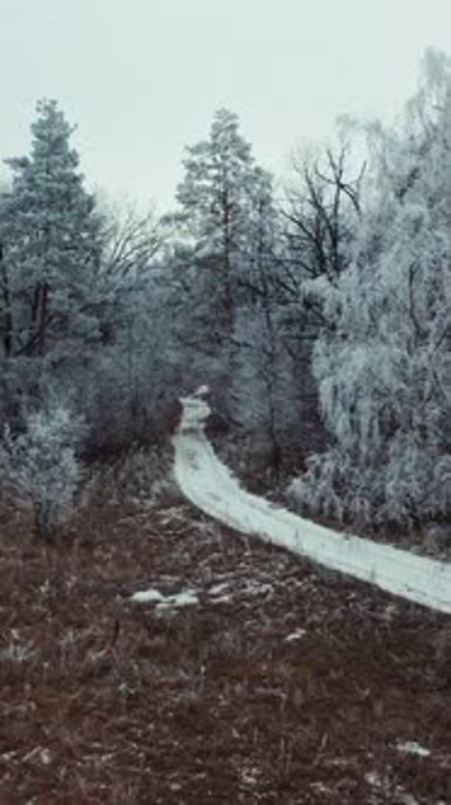 Snowy forest with road. Aerial drone view of snowy winter forest and road. Vertical video