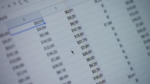 Closeup of Financial Cash Flow Data on PC Screen