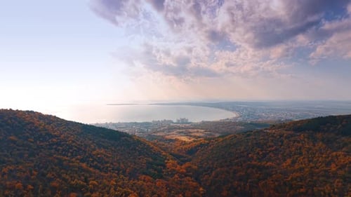 Scenic Aerial View of Coastal City and Autumnal Forest