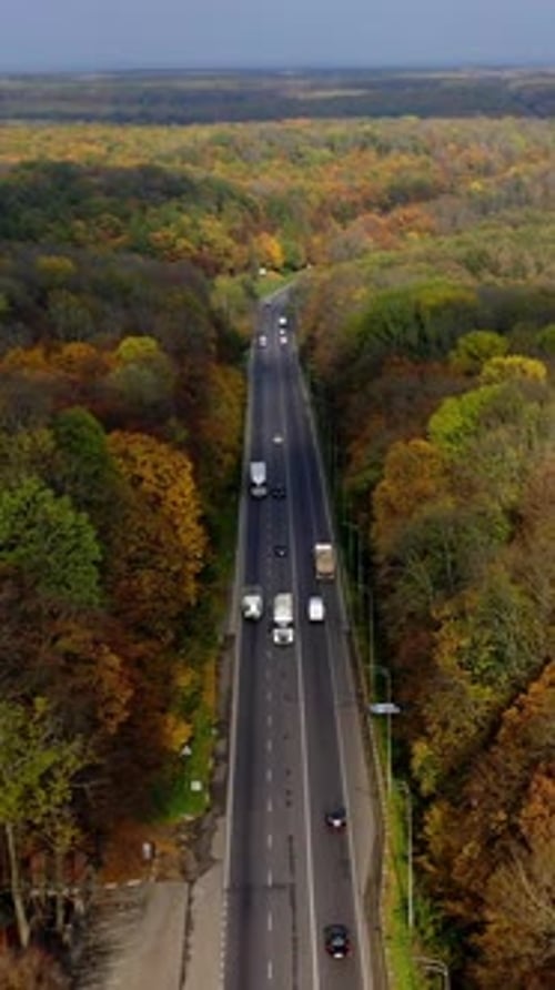 Road with cars in forest. Cars driving up the road through colorful autumn forest.