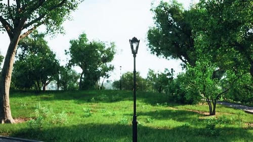 A Tranquil Park with a Vintage Lamp Post Surrounded By Lush Greenery