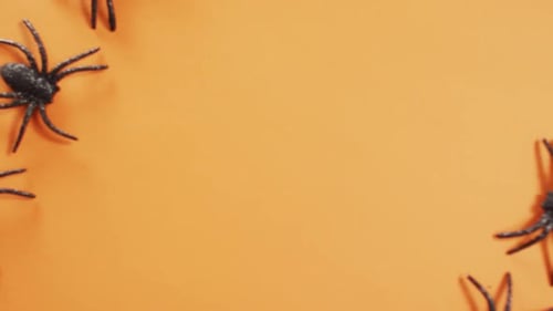 Close up of multiple spider toys with copy space against orange background