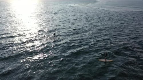 Aerial view of people paddleboarding on sup boards in the ocean in the waters of Reunion Island
