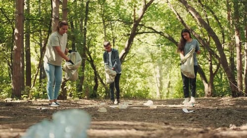 Volunteers Collecting Litter in Forest