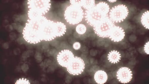 Vírus sob a visão microscópica para a educação