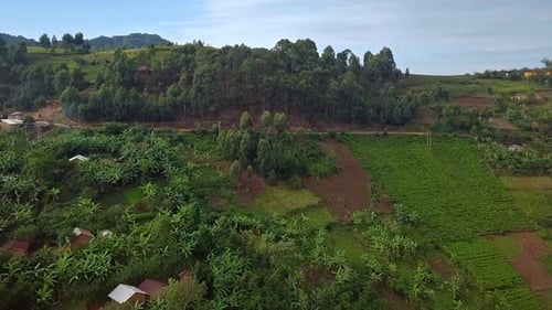 Terraced farming landscape and rural villages near Bwindi Impenetrable National Park Uganda