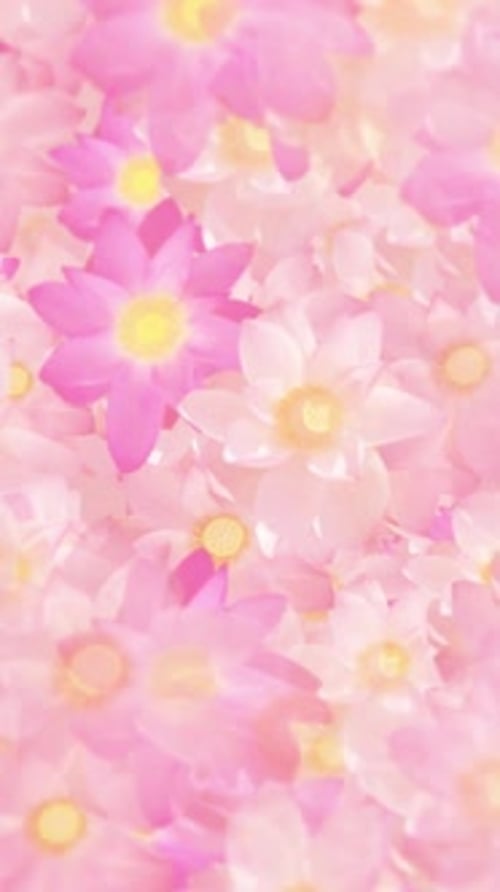Soft Pink Flowers Flowing Motion Background