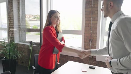 Businesswoman Shakes Hands With Businessman In Airy Office