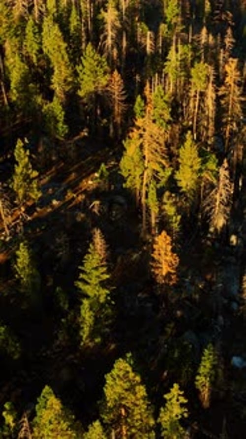 Descripción general del
parque montañoso de los paisajes de la sierra. Vista aérea del parque nacional americano de turismo.