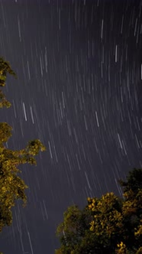 Night Sky Time-Lapse with Star Trails and Trees