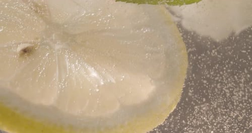 Lemon Slices and Mint Leaves in Sparkling Water