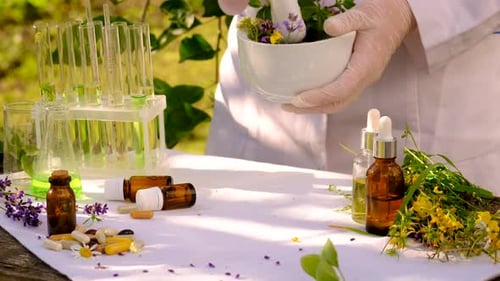 Alternative Medicine Medicinal Herbs Selective Focus