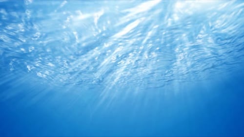 Fondo de fondo marino azul 4K
