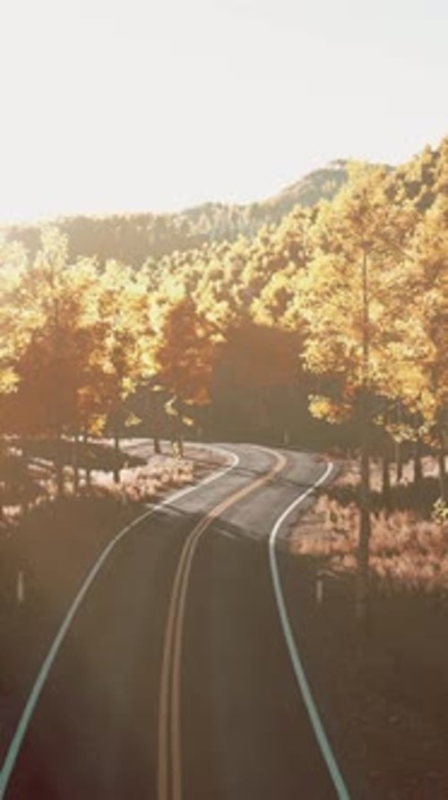 Aerial View of Curvy Road in Beautiful Autumn Forest