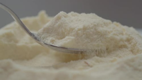 Close-up of a spoon filling with creamy powdered milk ready to be mixed