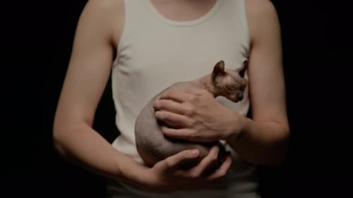 Studio Portrait of Man with Alopecia with Sphynx Cat