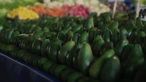 Ripe Green Avocados are Lying on the Counter of the Farmer's Market