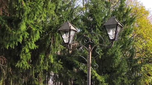 A street light in front of a tree with two lanterns on it