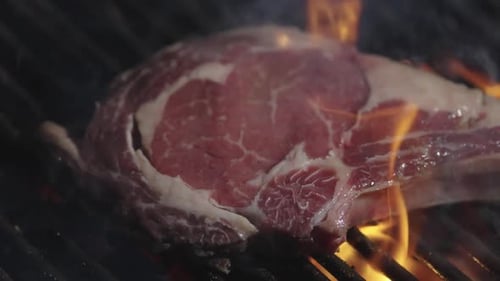 Grilled Meat on Grill with Fire Roast Meat Grilled with Fire Flames Beef Steak on Grill Meat Steaks