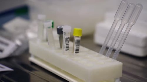 Blood Sample Collection in a Laboratory