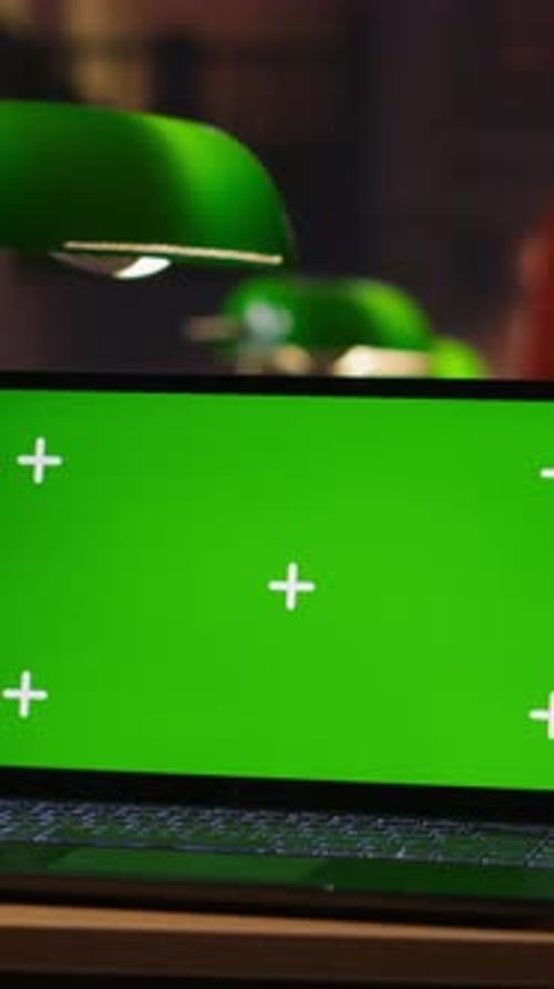 Vertical Video Girls and Librarians Focused on Literary Analysis Essay Next to Chroma Key