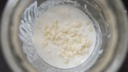 Milk Kefir in a glass jar with organic cows milk