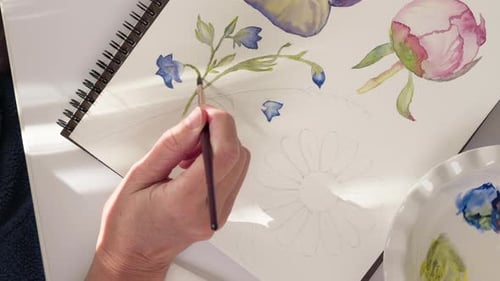 Aquarellmalerei. Aquarellskizze von Blumen, Nahaufnahmevideo