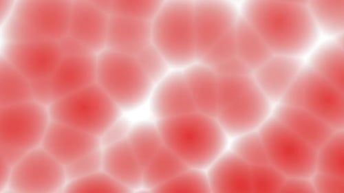 Fluid Organic Cell Animation Loop Background