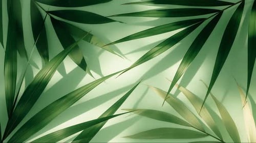 Green Palm Sunday Background