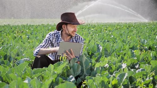 Farmer Using Digital Tablet During Monitoring His Plantation