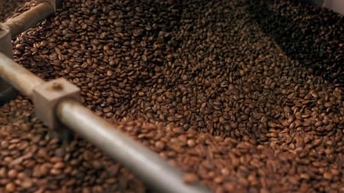 Closeup of a Coffee Roasting Factory Inside Drum Roasting Stirring Coffee