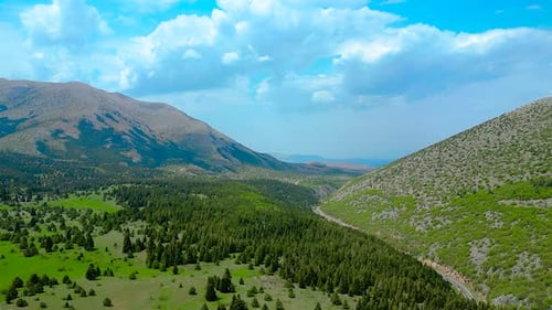 Magnificent pine forests mountain landscapes