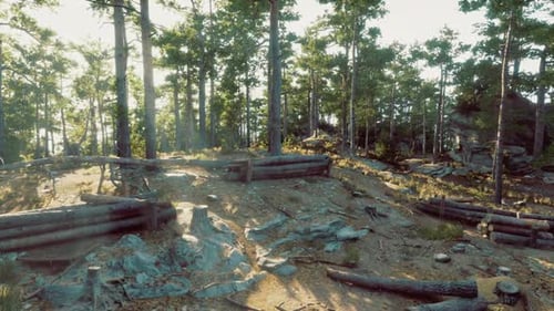 Radiant Craggy Hillside Surrounded By Pine Woods and Uneven Ground
