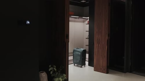 A Modern Closet Designed with Luggage A Minimalist and WellOrganized Space for Efficiency