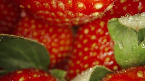 inside the strawberries. Camera slides through strawberries, macro photography