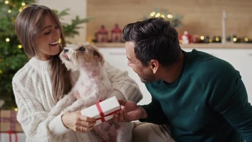 Couple With Dog Exchanging Christmas Gifts Indoors