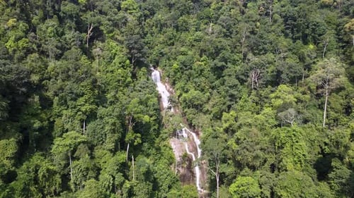 Luftflug vorwärts Penang Botanical Garden Wasserfall kaskadierend