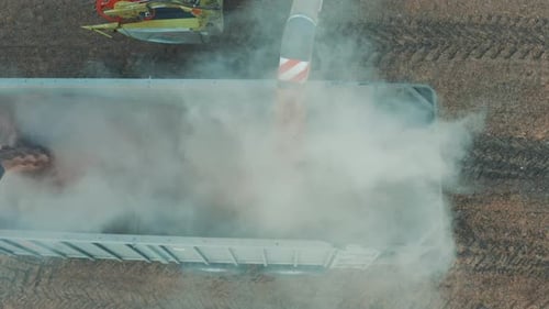 Combine Harvester Transfers Grain Into a Truck