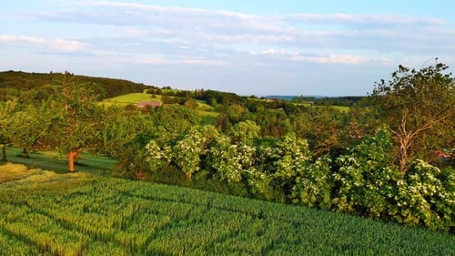 Kleines Dorf mit Bauernhöfen, Bäumen, landwirtschaftlichen Feldern und Obstgärten im Sonnenlicht