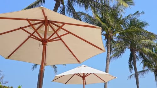 Tropical beach scenery, sunshade parasols and coconut trees on sunny beach day, slow motion low angl