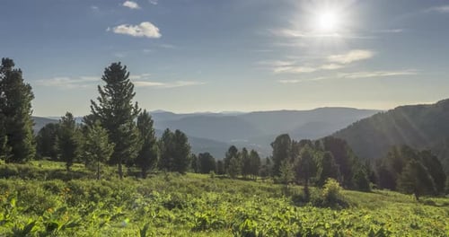 Mountain Meadow Timelapse